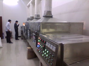 食品添加剂干燥设备全解析 微波与箱式干燥技术应用及选择指南